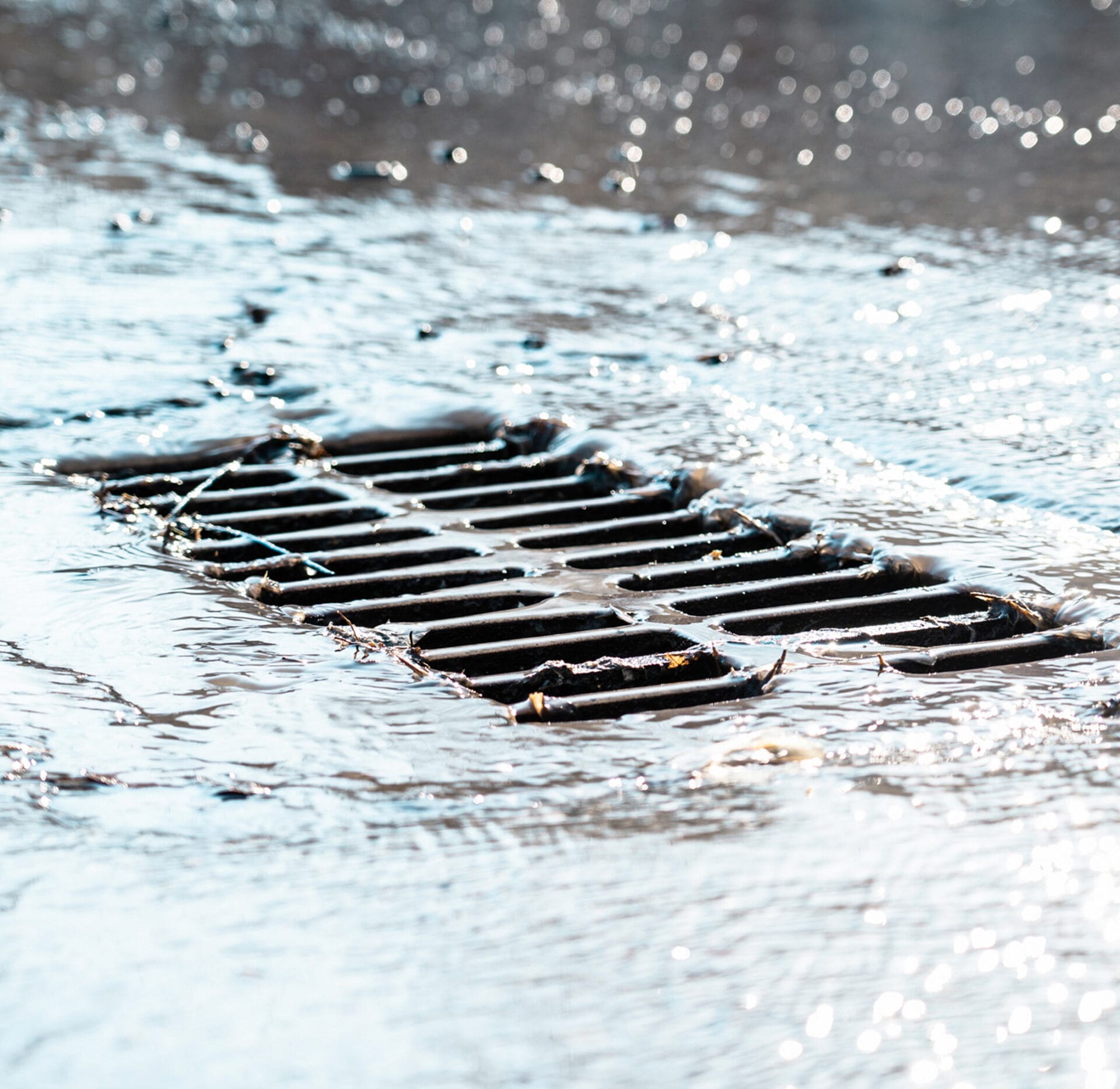 Can Storm Drains Get Clogged? - TX Hydrojet plumbing blog San Antonio TX